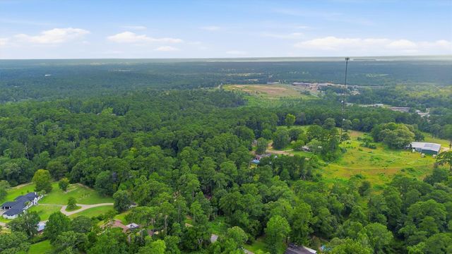 0 Hillendale Drive, Livingston, TX 77351
