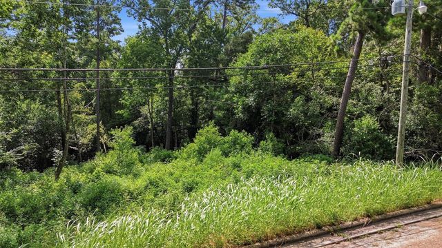 0 Hillendale Drive, Livingston, TX 77351