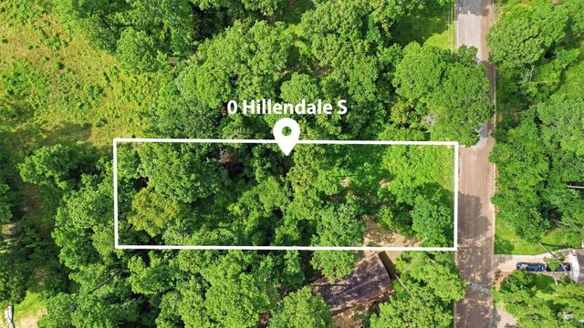 0 Hillendale Drive, Livingston, TX 77351