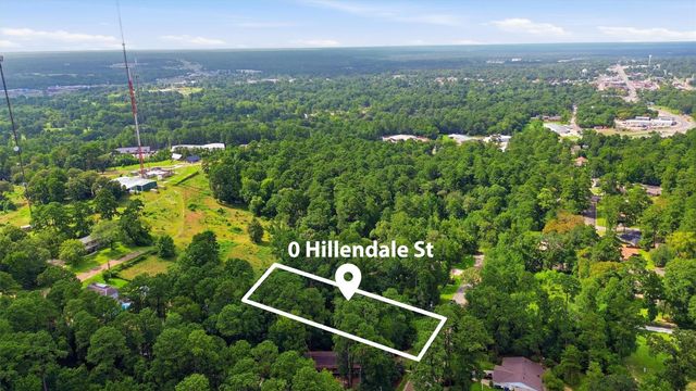 0 Hillendale Drive, Livingston, TX 77351