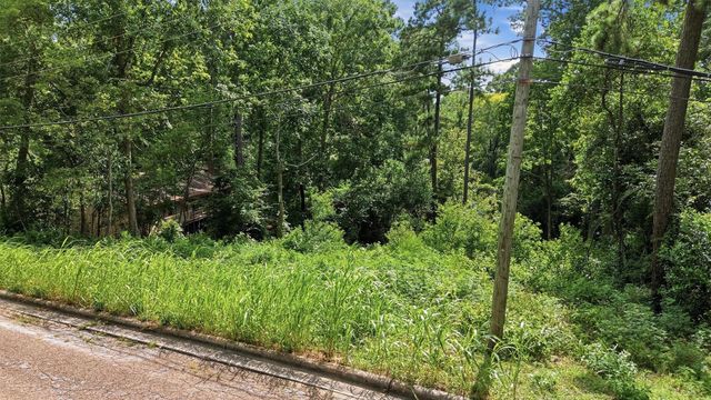 0 Hillendale Drive, Livingston, TX 77351