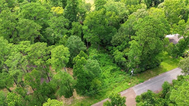0 Hillendale Drive, Livingston, TX 77351