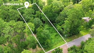 0 Hillendale Drive, Livingston, TX 77351