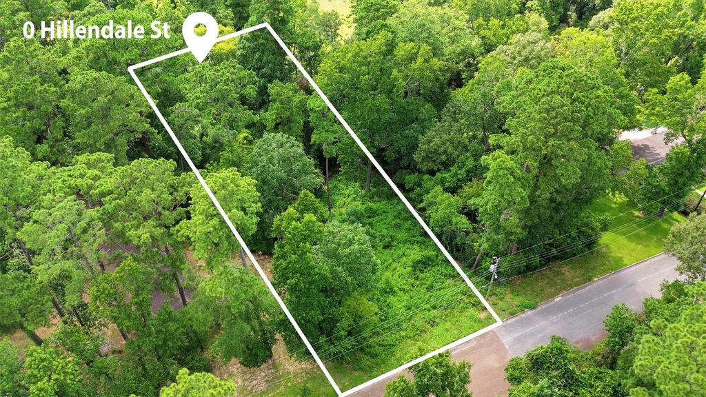 0 Hillendale Drive, Livingston, TX 77351