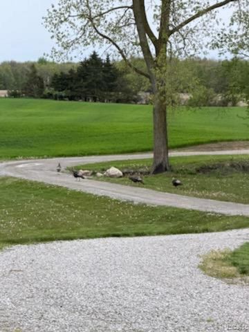 5397 Elm Road, Hudson, MI 49247