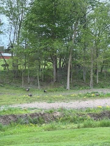 5397 Elm Road, Hudson, MI 49247