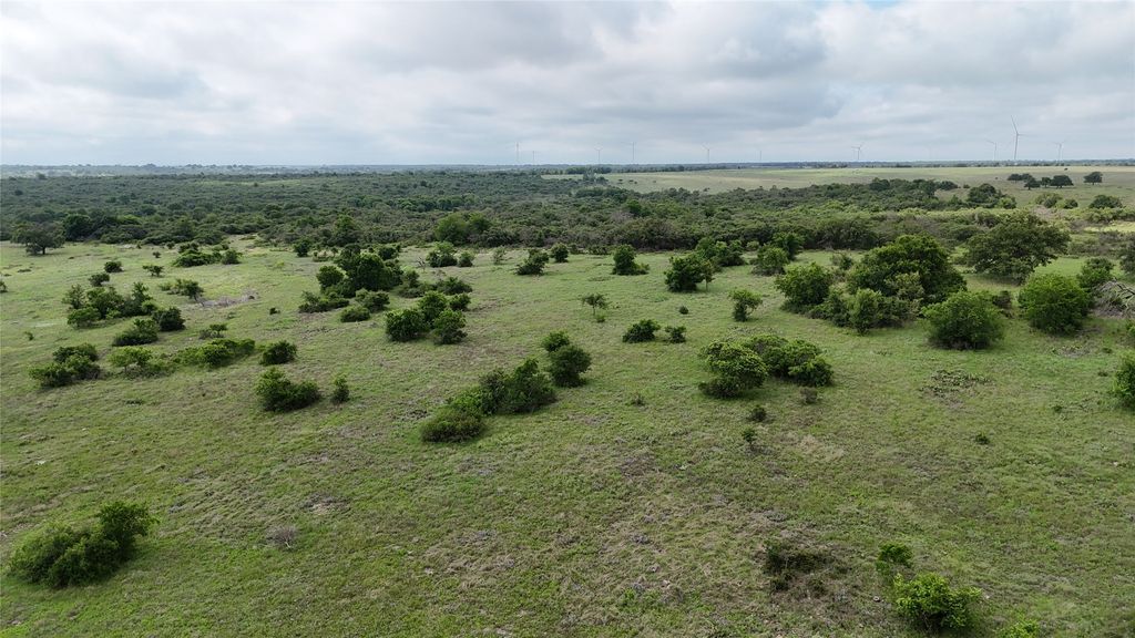 Lot 51 County Road 242, Goldthwaite, TX 76442
