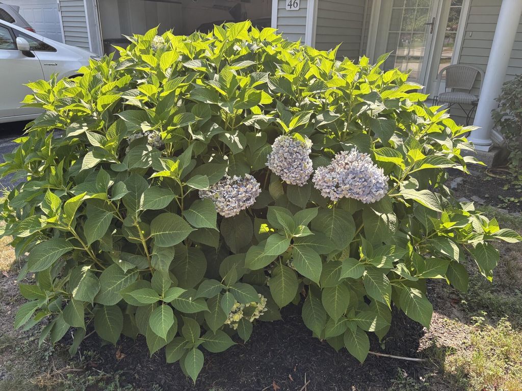 46 Macintosh Lane 46, Old Orchard Beach, ME 04064 — photo 2