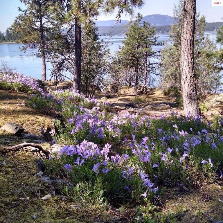 Cottage Island, Hope, ID 83836 photo 23