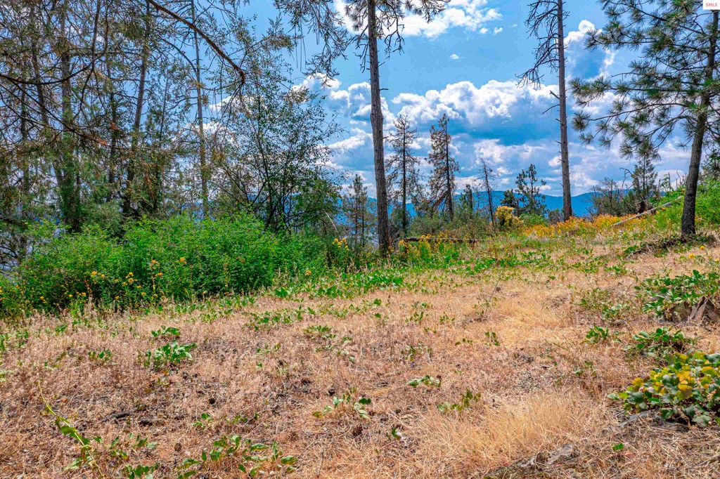 Cottage Island, Hope, ID 83836 photo 29