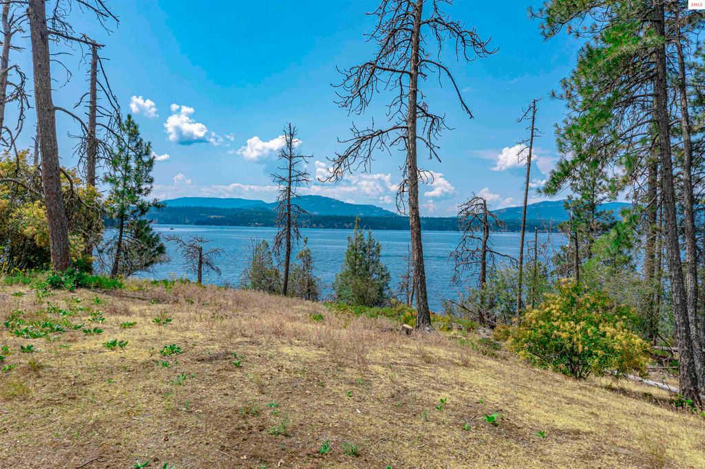 Cottage Island, Hope, ID 83836 photo 30
