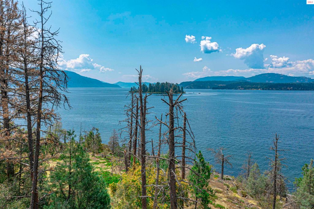 Cottage Island, Hope, ID 83836 photo 31