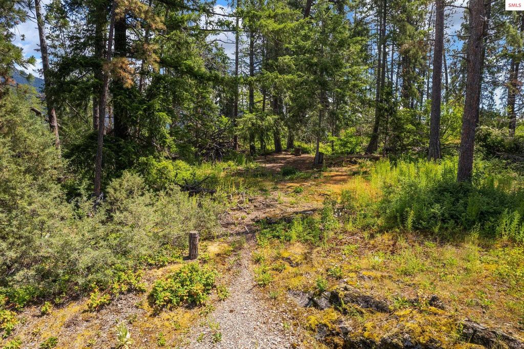 Cottage Island, Hope, ID 83836 photo 7