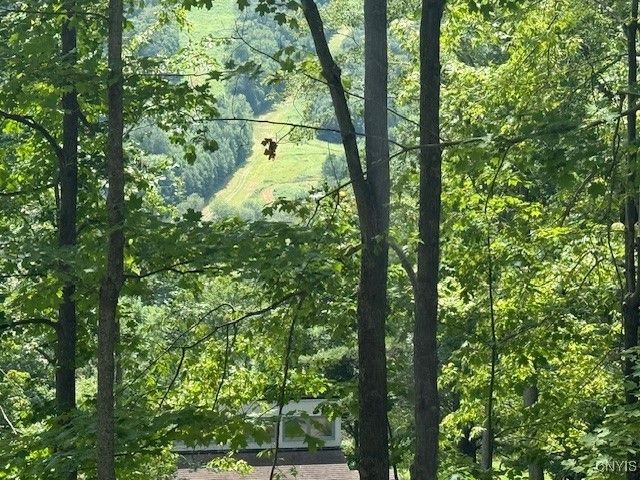 1991 Artemis Drive, Virgil, NY 13045