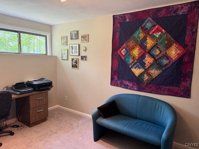 1991 Artemis Drive, Virgil, NY 13045