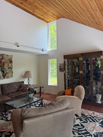 1991 Artemis Drive, Virgil, NY 13045