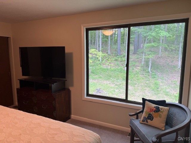 1991 Artemis Drive, Virgil, NY 13045