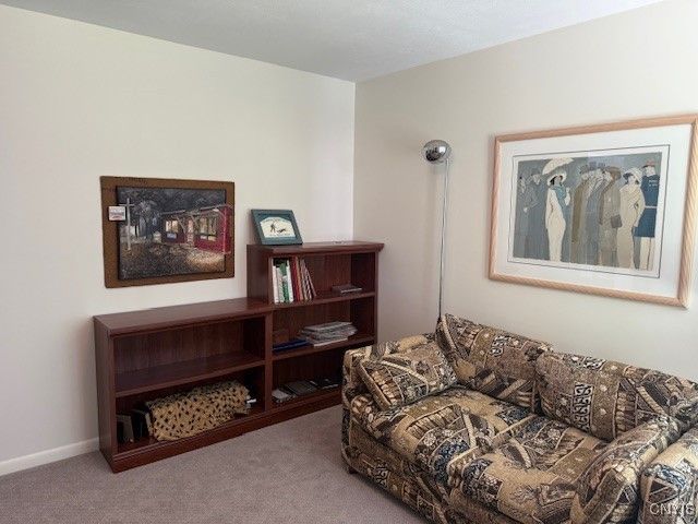 1991 Artemis Drive, Virgil, NY 13045