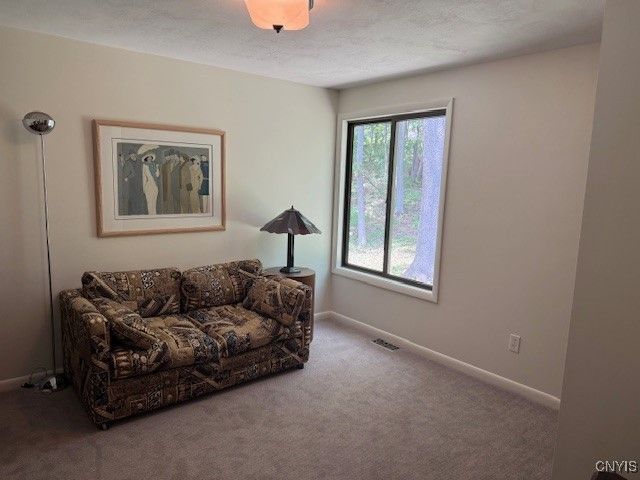 1991 Artemis Drive, Virgil, NY 13045