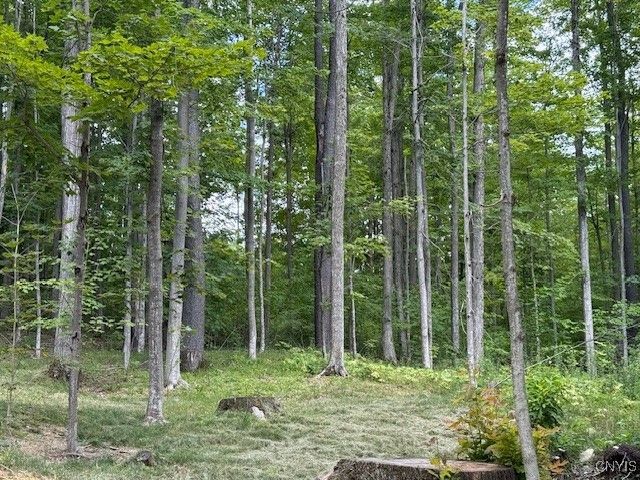 1991 Artemis Drive, Virgil, NY 13045