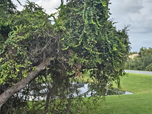 17507 BLESSING DRIVE, Clermont, FL 34714