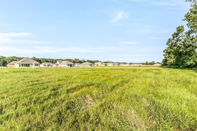 421 Barton Place Drive, Tarkington, TX 77327