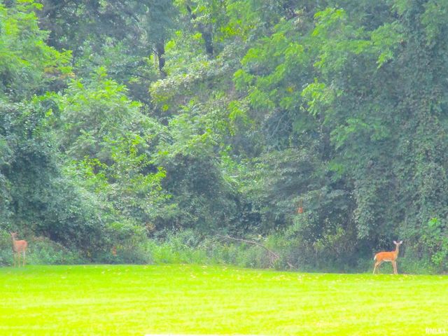 1253 County Road 800 E, Carmi, IL 62821