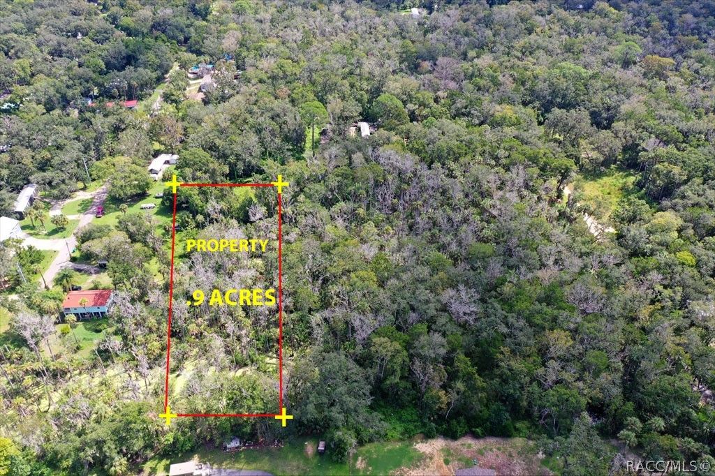 10487 W Palmetto Street, Homosassa, FL 34448