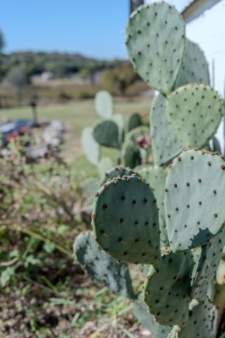 538 Mount Vernon Rd, Eagleville, TN 37060