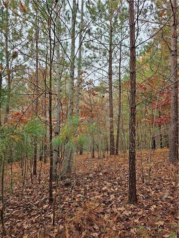 0 The Hills Lane, Blairsville, GA 30512