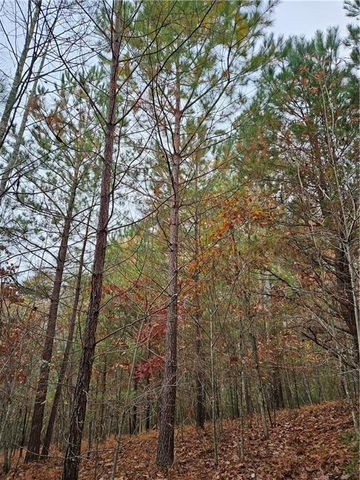 0 The Hills Lane, Blairsville, GA 30512