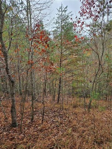 0 The Hills Lane, Blairsville, GA 30512