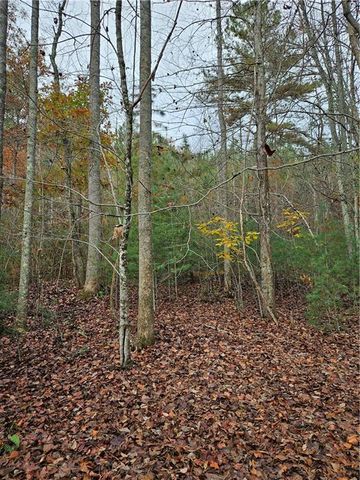 0 The Hills Lane, Blairsville, GA 30512