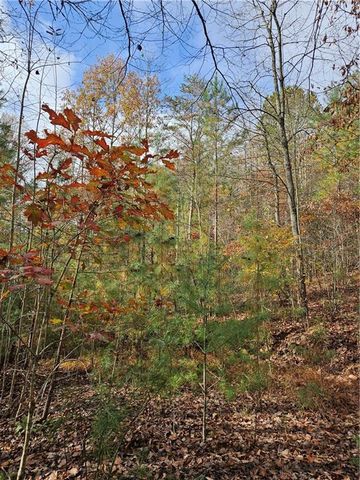 0 The Hills Lane, Blairsville, GA 30512