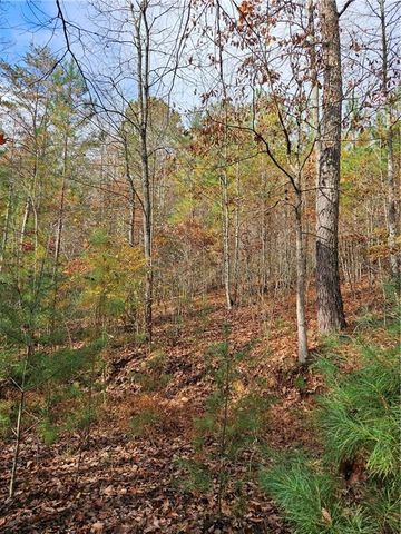 0 The Hills Lane, Blairsville, GA 30512