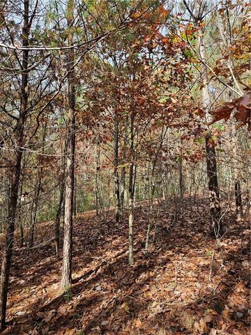 0 The Hills Lane, Blairsville, GA 30512