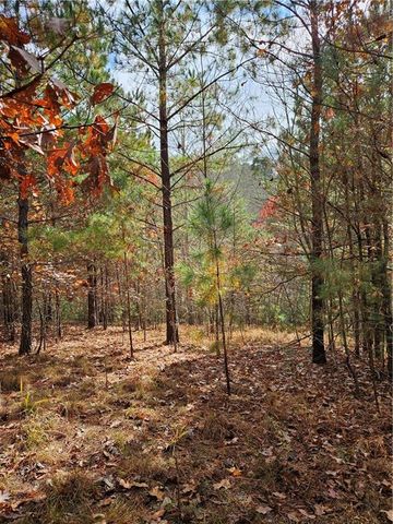 0 The Hills Lane, Blairsville, GA 30512