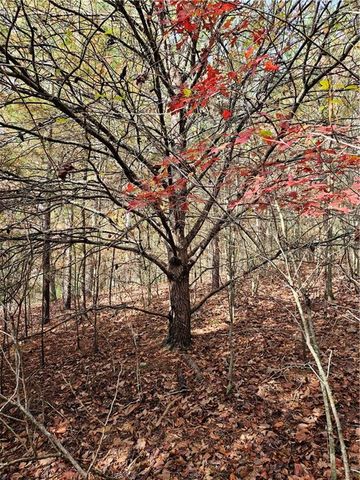 0 The Hills Lane, Blairsville, GA 30512