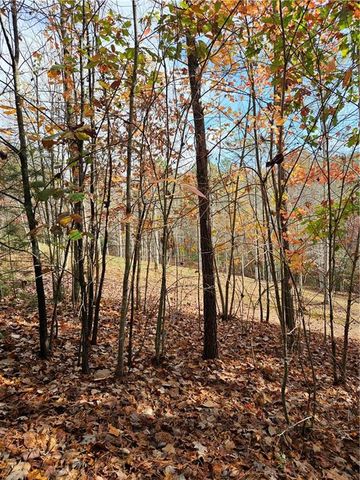 0 The Hills Lane, Blairsville, GA 30512