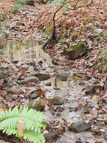 0 The Hills Lane, Blairsville, GA 30512