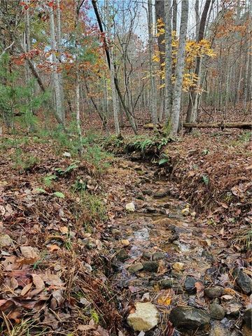 0 The Hills Lane, Blairsville, GA 30512