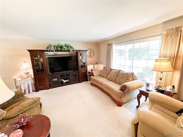 1403 S Henderson Street, Salem, MO 65560