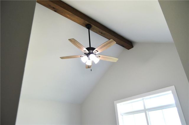 537 FELICIANA Drive, Pineville, LA 71360