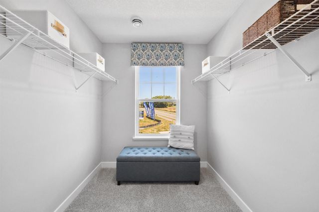 201 Snowdrop Trail, Waconia, MN 55387