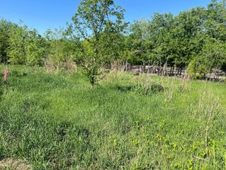 W Brook St(Lot #2, Bk 72) W Brook ST, Bartlett, TX 76511