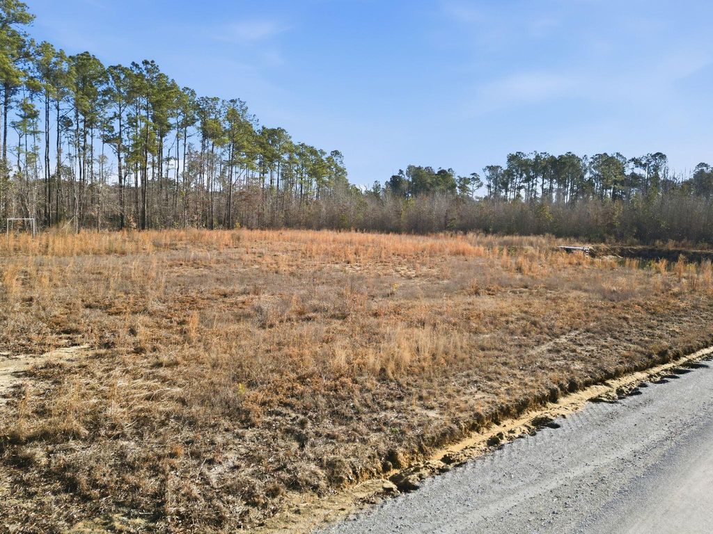 6221 Ellwood Rd., Galivants Ferry, SC 29544 — photo 2