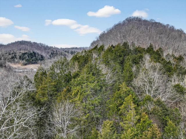 0 Sycamore Valley Rd, Lafayette, TN 37083