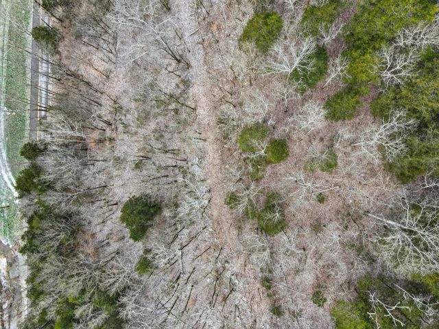 0 Sycamore Valley Rd, Lafayette, TN 37083