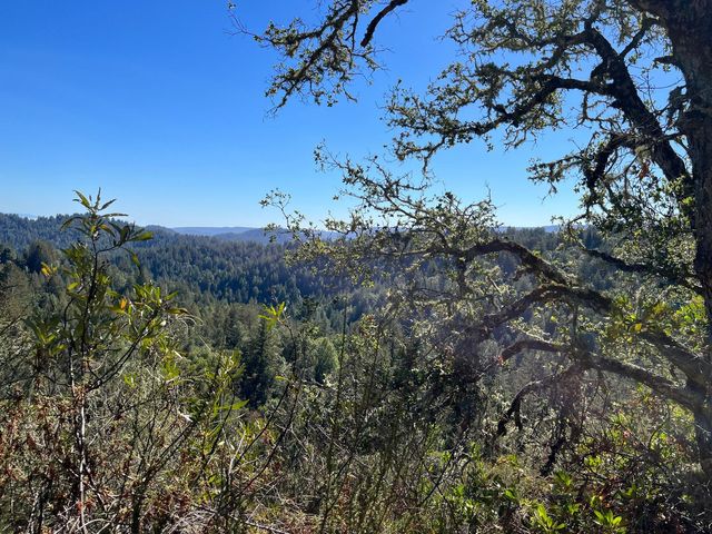 Lot 19 Bear Creek Road, Boulder Creek, CA 95006
