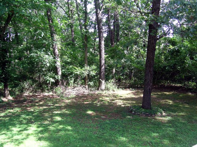 1367 Glossip Avenue, Highlandville, MO 65669